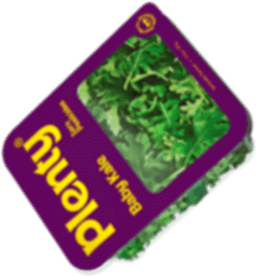 plenty baby kale