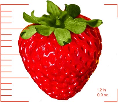 one strawberry