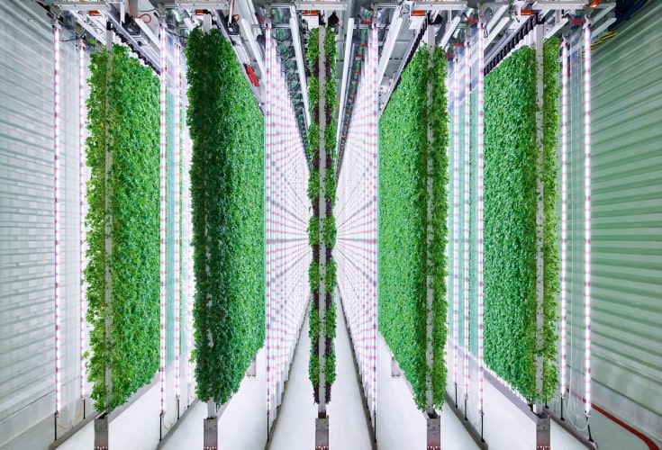 Indoor vertical farming