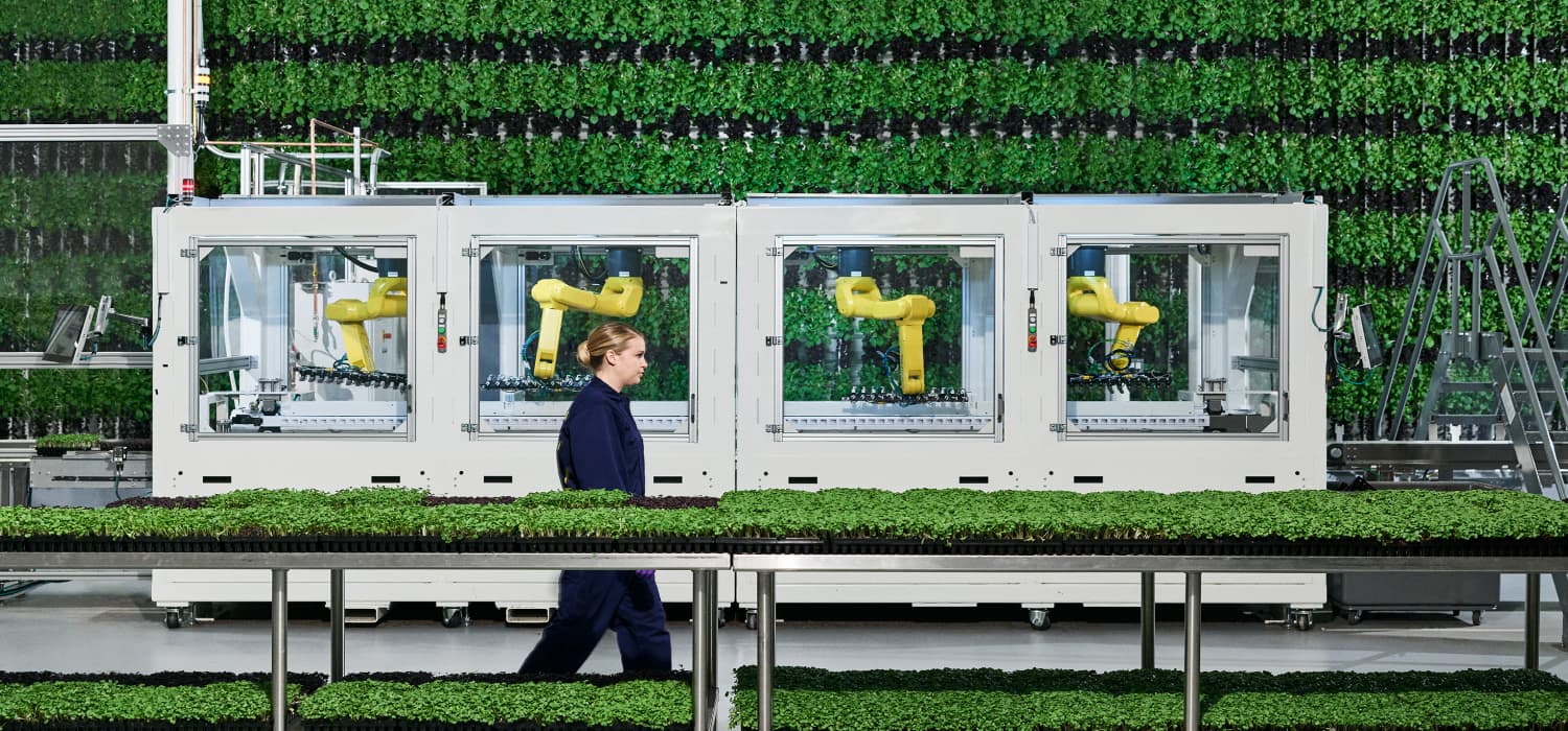 woman walking in front of Plenty's vertical farm machinery