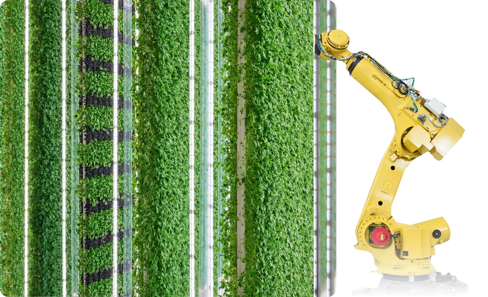 Plenty vertical farming machinery