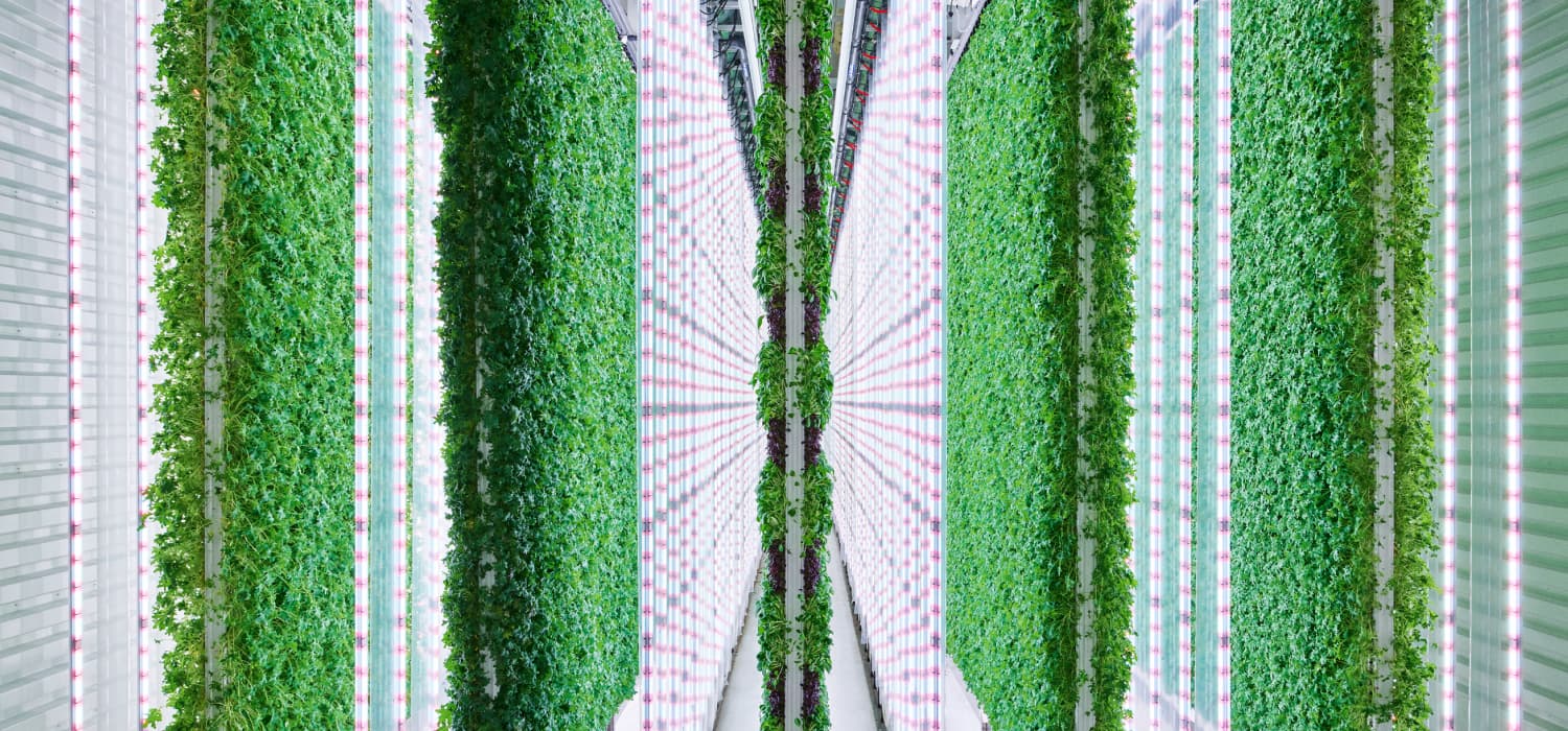 Plenty vertical farming