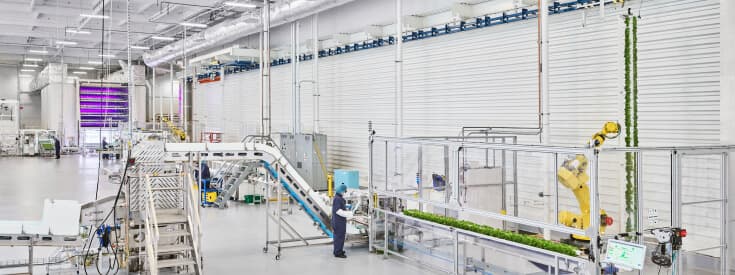 Plenty vertical farming system production facility