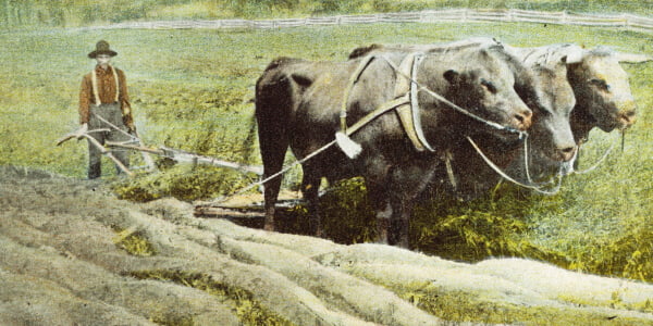 the agricultural revolution