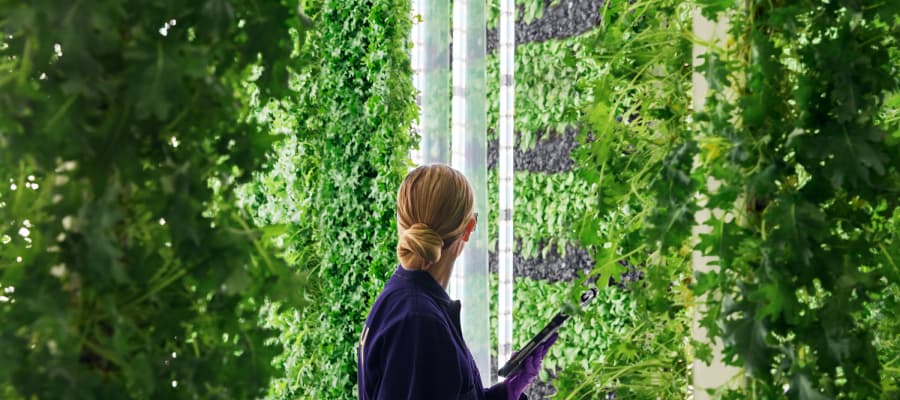 woman from behind standing inside of Plenty's vertical farming