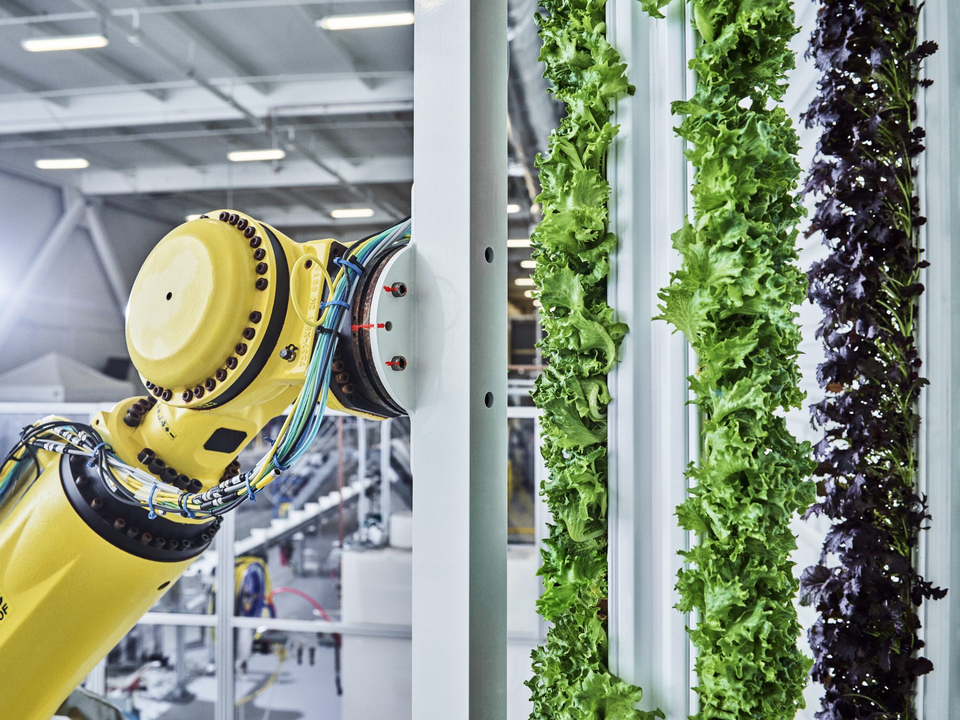 Plenty Indoor Farm