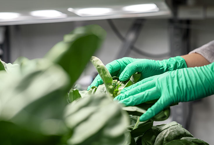 CNN: These innovators are extending the lifecycle of our food