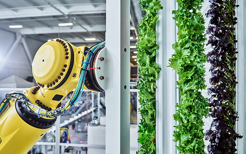 Are Indoor Vertical Farms Really ‘Future-Proofing Agriculture’?