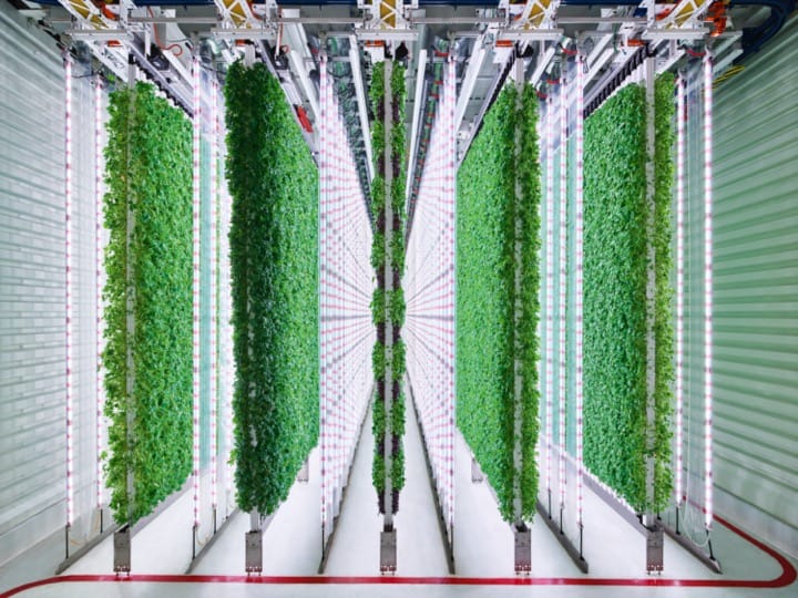 Thumbnail of Indoor Vertical Farming | Plenty