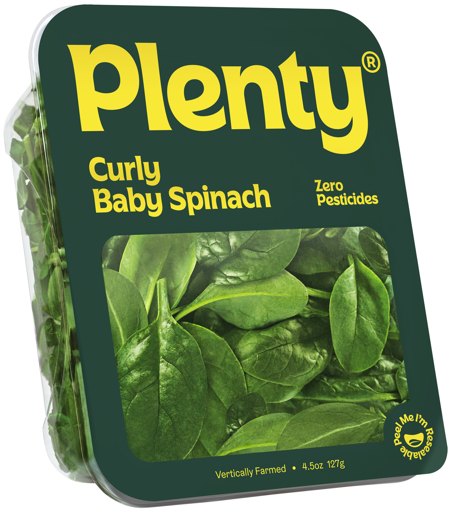 Curly_Baby_Spinach_4.5oz_3_4 angle_No_Reflections