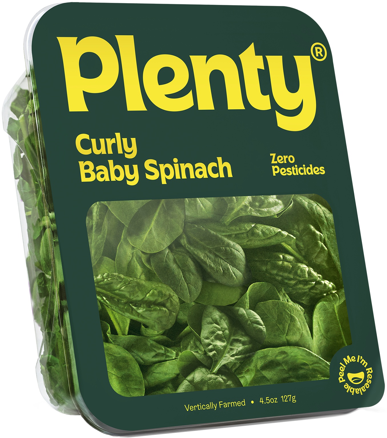 Curly_Baby_Spinach_Angled_TrimmedReflection_NoBg_2000x2000