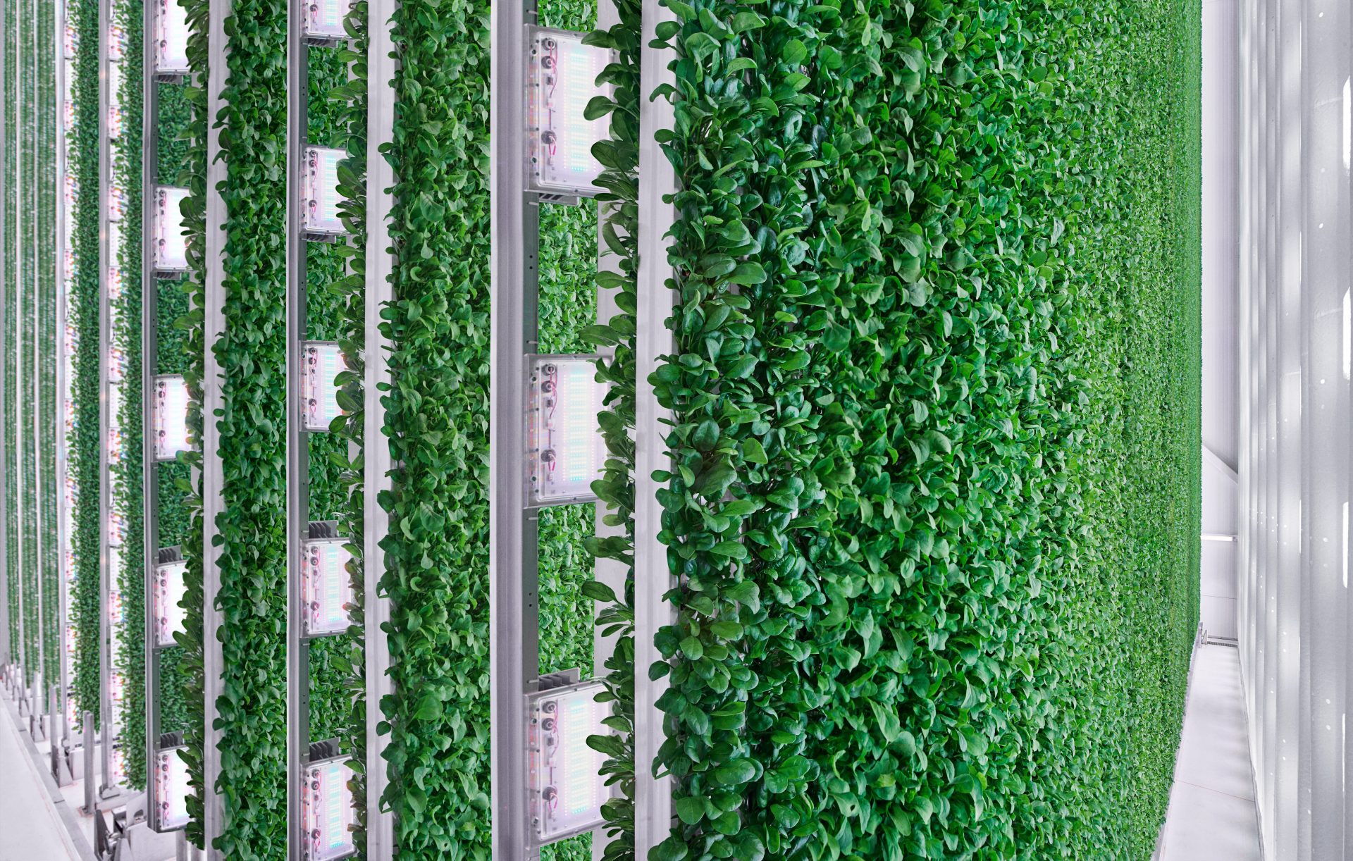 Plenty Opens World’s Most Technologically Advanced Indoor Vertical Farm in Compton.