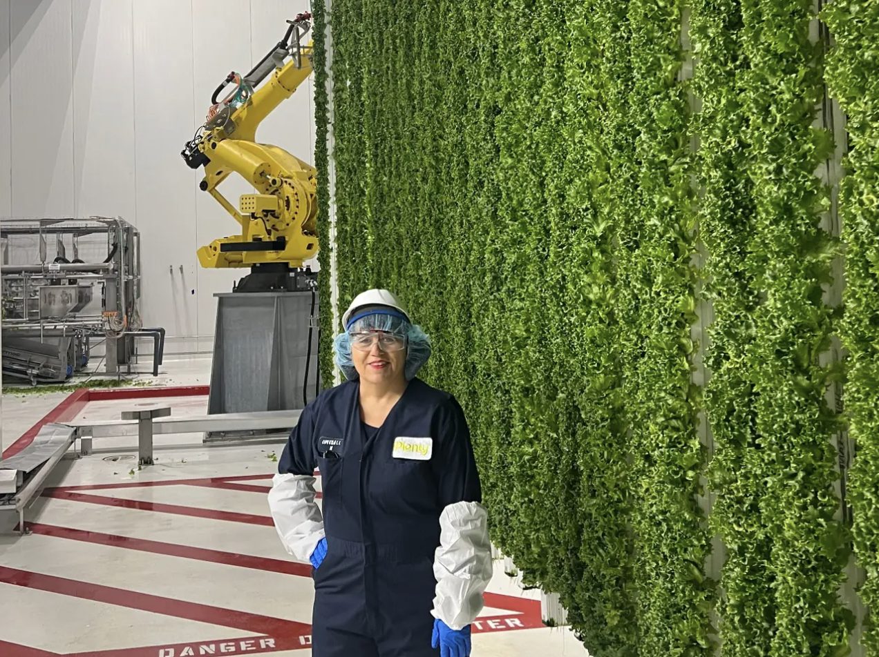 Business Insider: I visited an indoor farm in Compton that’s growing leafy greens for Walmart and Whole Foods using robots — and it gave me a peek at the future of farming.
