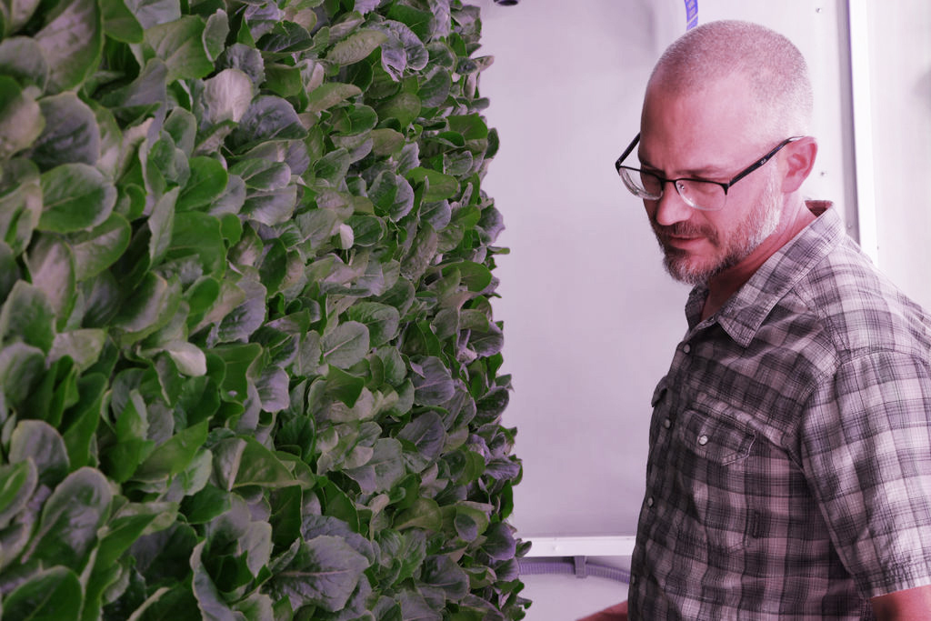 Stacked “Vertical” Farming Doesn’t Stack Up