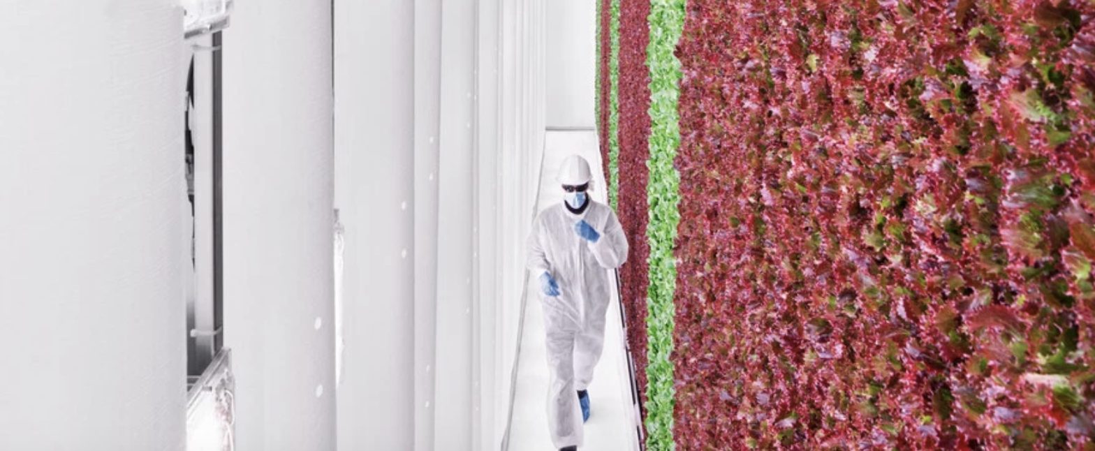 World Economic Forum: Vertical farming can change the future of food…