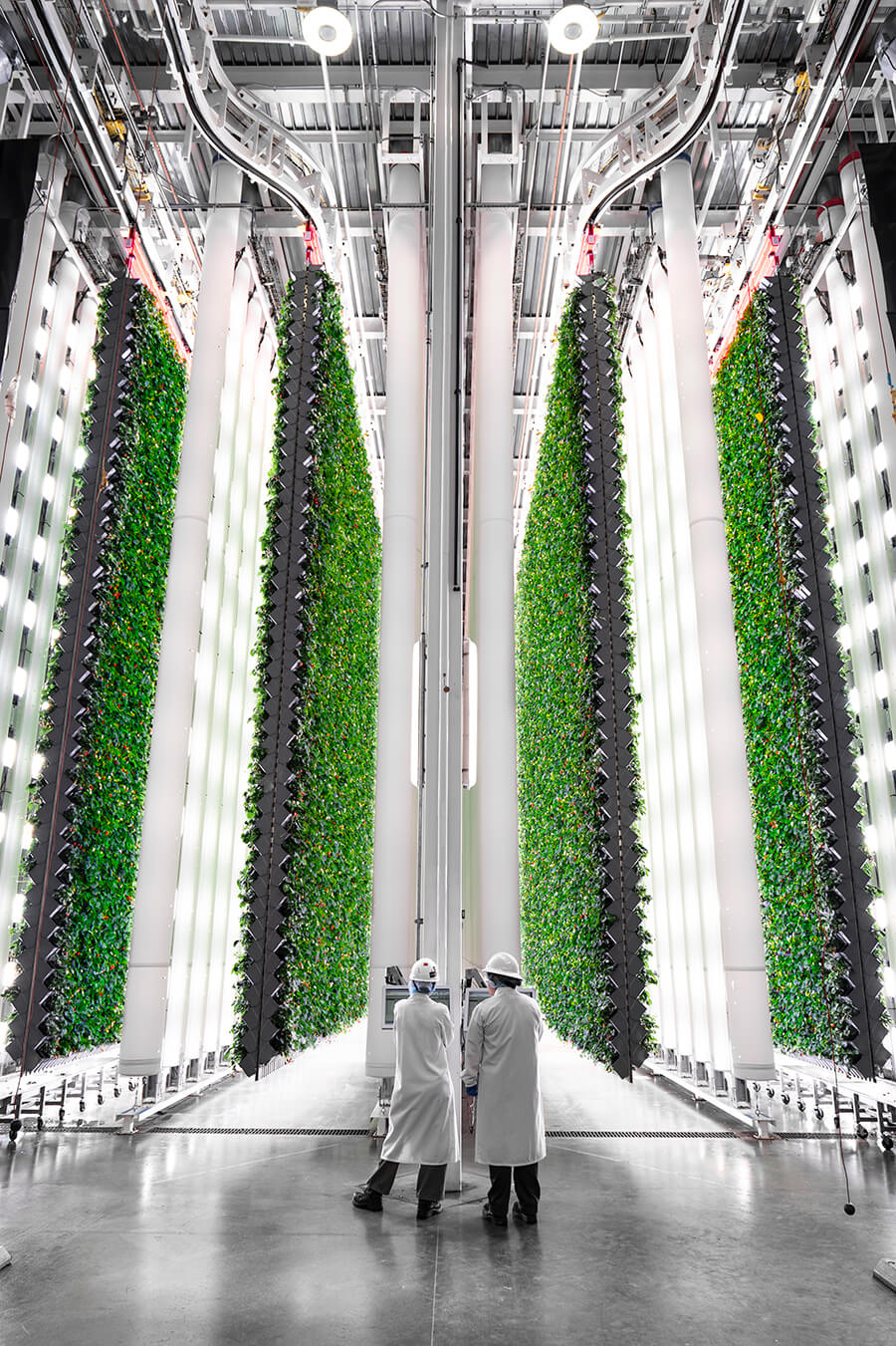 A7404482_cropped-for-no-NDA